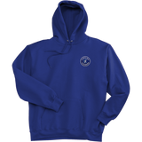 Carolina Thunder Ultimate Cotton - Pullover Hooded Sweatshirt