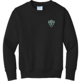 Biggby Spartans Youth Core Fleece Crewneck Sweatshirt