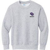 Curry College Youth Core Fleece Crewneck Sweatshirt